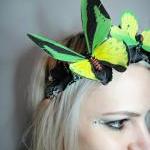 Green Yellow Butterfly And Flowers Headband..